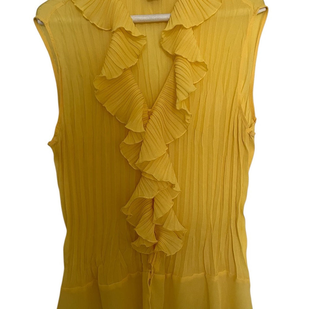 Ashley Stewart ruffleTop